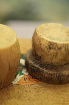 pecorino d'Abruzzo