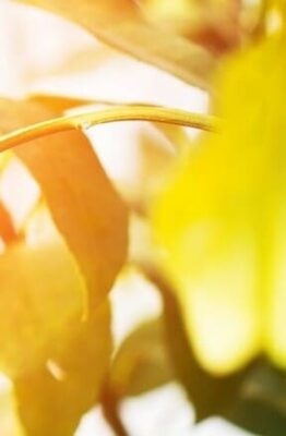 L'importanza degli standard di igiene e sicurezza alimentare si applica a tutti i luoghi di lavoro